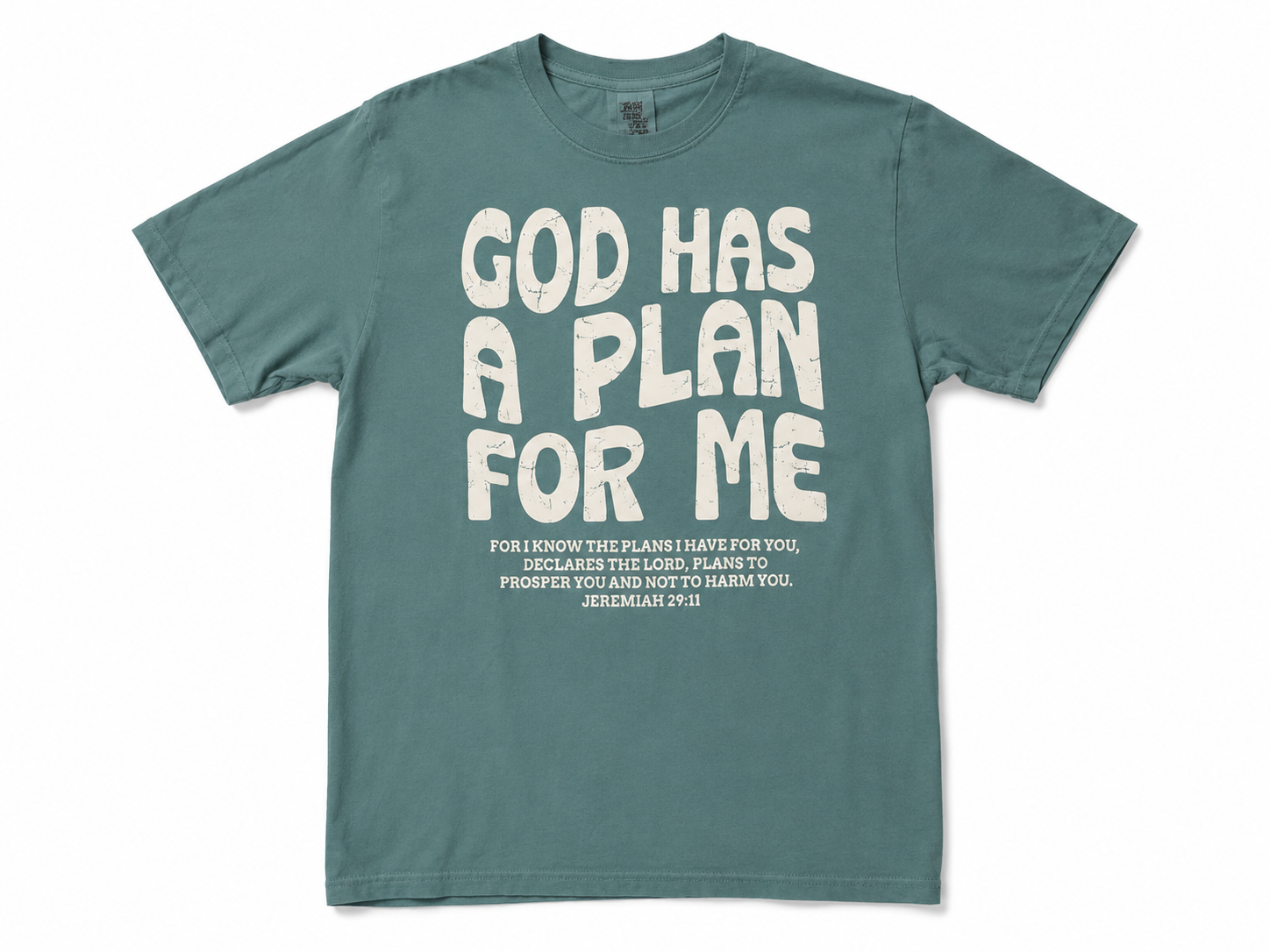 God Has a Plan for Me T-Shirt
